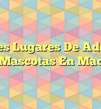 Mejores Lugares De Adopcion De Mascotas En Madrid